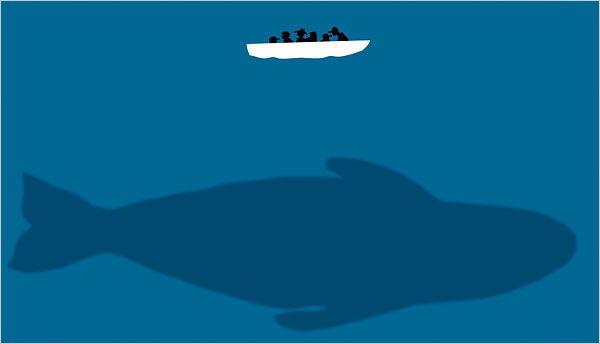 Theo dấu loài cá voi - Bí ẩn sự kiện cá voi mỏ khoằm mắc cạn (Phần I)