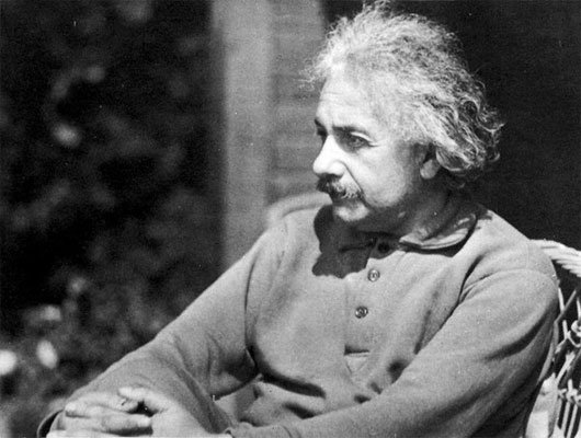 Thiên tài Einstein - Con sói cô độc