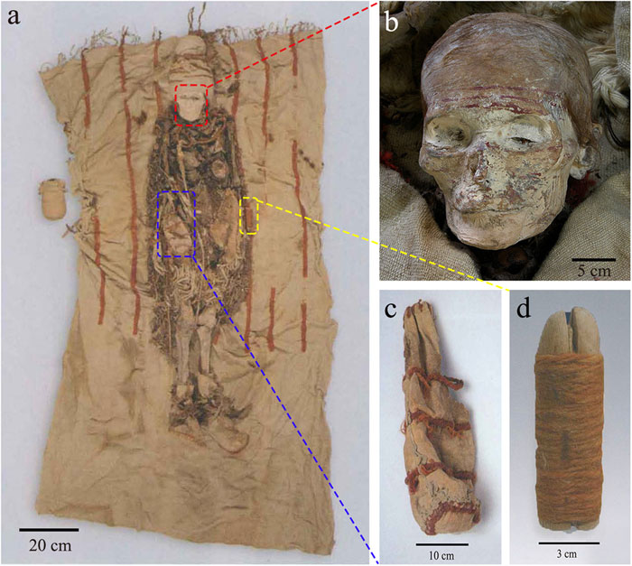 Thỏi son làm từ tim động vật 3600 năm tuổi chôn cùng xác ướp