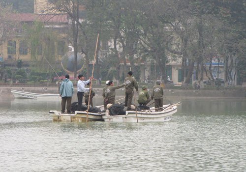 Tìm cụ Rùa thứ 2 tại hồ Gươm