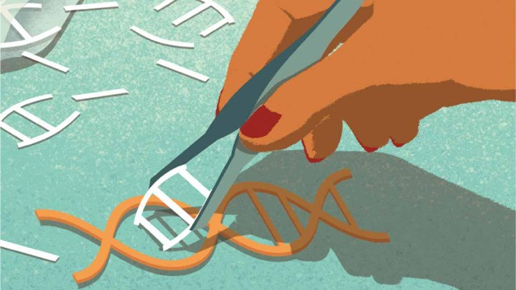Tìm hiểu về CRISPR - Công nghệ chỉnh sửa gene mà Trung Quốc vừa mới vượt mặt Mỹ