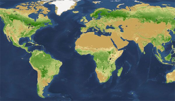 Tìm ra thủ phạm triệt hạ phân nửa cây xanh trên Trái Đất