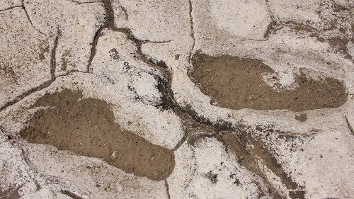 Tìm thấy 400 dấu chân người nguyên vẹn 19.000 năm trước