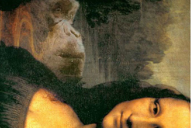 Tìm thấy ảnh động vật trong bức họa Mona Lisa