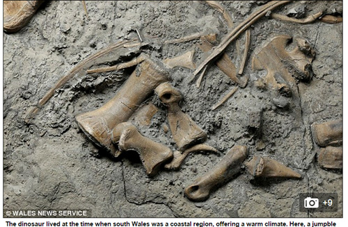 Tìm thấy loài khủng long mới có họ hàng với khủng long bạo chúa