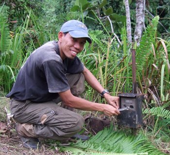 Tìm thấy loài rái cá lông mũi quý hiếm ở đảo Borneo