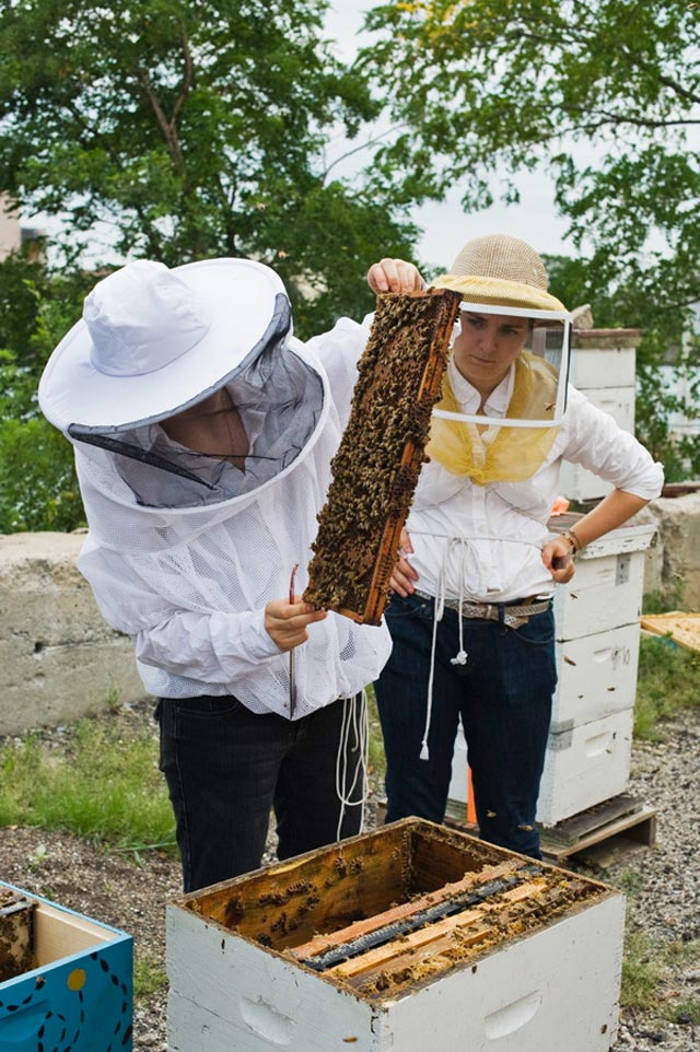 Trang trại sân thượng lớn nhất thế giới ưu việt thế nào?