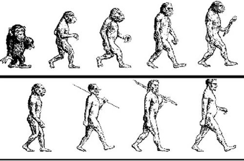 Tranh cãi có một không hai về Thuyết tiến hóa