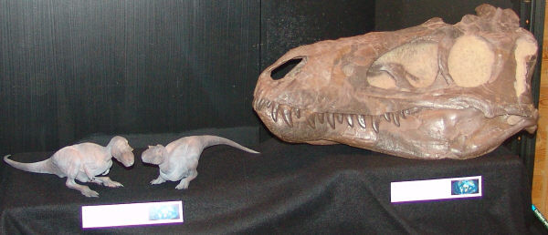 Tranh cãi về loài khủng long chưa từng tồn tại