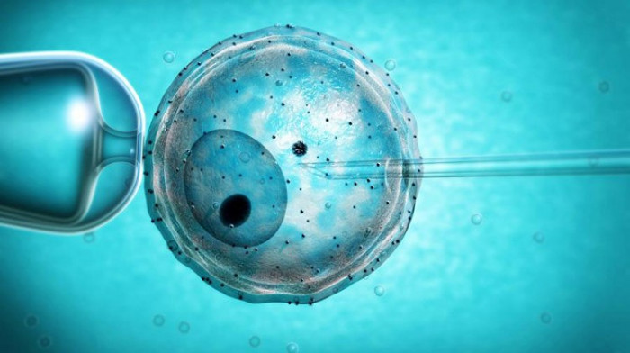 Trẻ thụ tinh trong ống nghiệm sẽ có nguy cơ chết sớm?