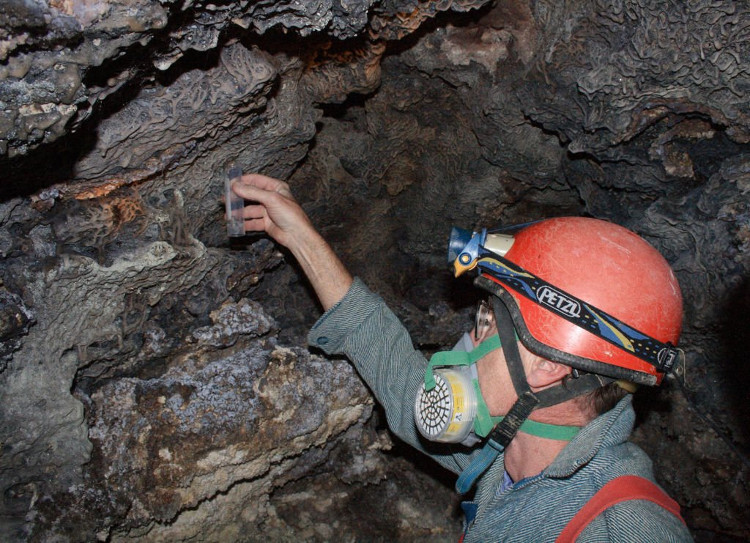 Trong hang động kinh dị này tồn tại một sinh vật làm sửng sốt các nhà khoa học