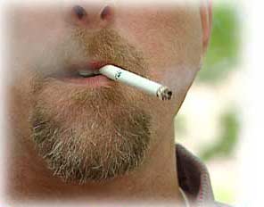 Trong khói thuốc lá có thuốc trừ sâu