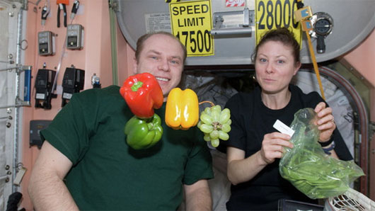 Trồng và thu hoạch rau trên trạm không gian quốc tế