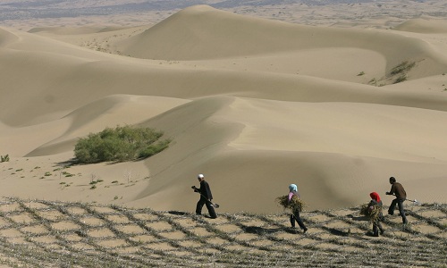 Trung Quốc đang nhanh chóng hóa thành sa mạc