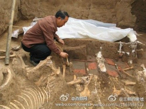 Trung Quốc khai quật mộ bà của Tần Thủy Hoàng