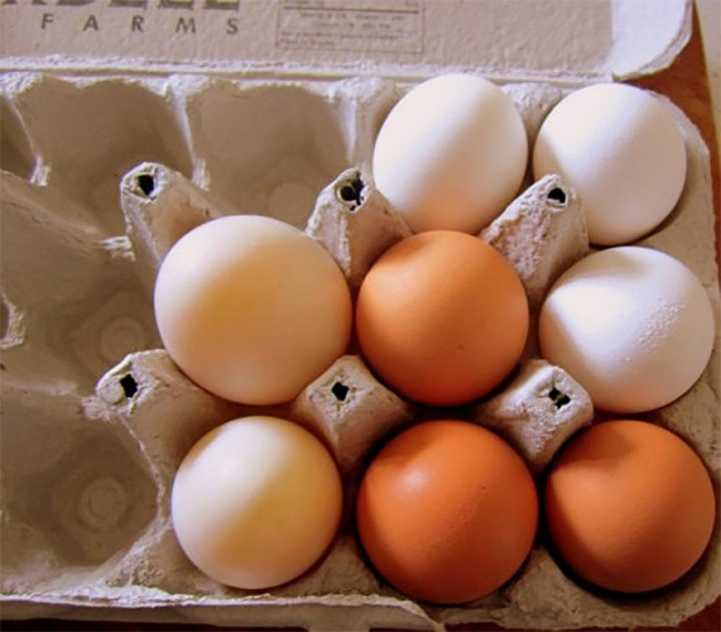 Trước khi ăn trứng, hãy để ý đến màu sắc của lòng đỏ trứng