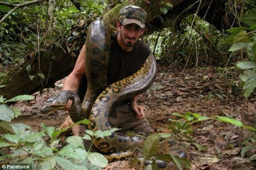Tự nguyện cho trăn khổng lồ Anaconda nuốt sống