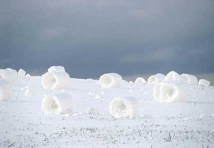 Tuyết tự cuộn tròn thành hình ống