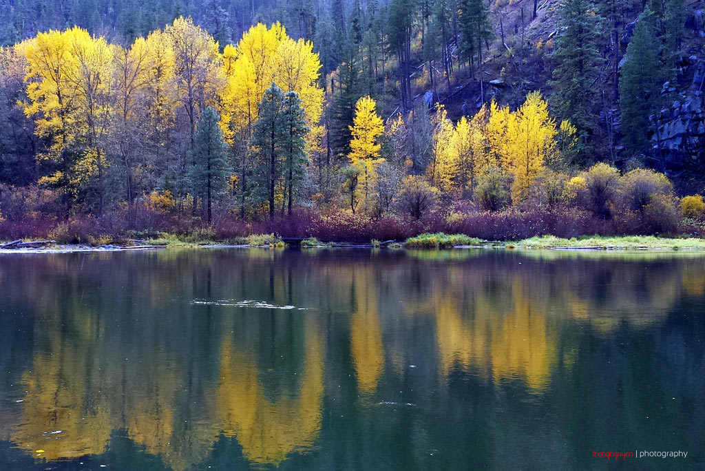 Vẻ đẹp thiên nhiên bốn mùa ở tiểu bang Washington