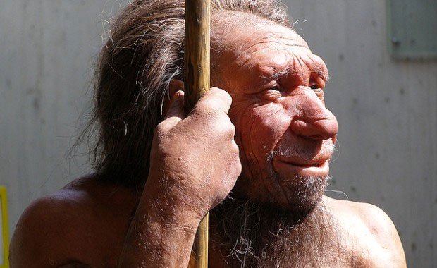 Vì sao tay phải người Neanderthal to gấp đôi tay trái?