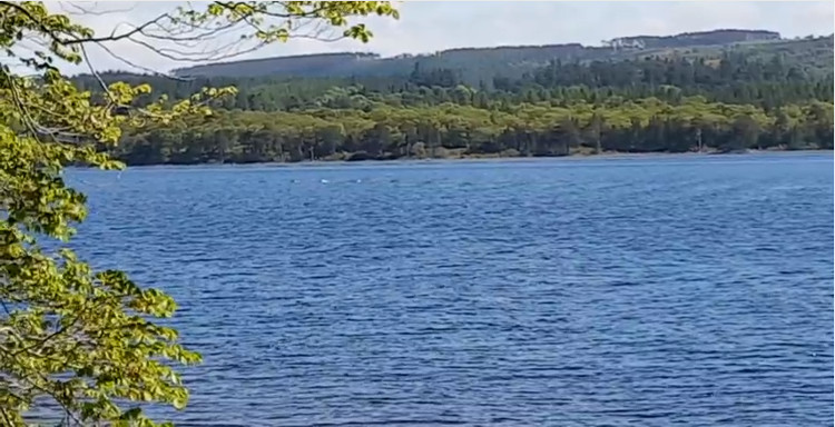 Video: Bướu lưng nhô trên mặt nước nghi thuộc về quái vật Loch Ness