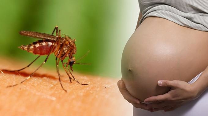 Việt Nam phát hiện 2 ca nhiễm virus Zika đầu tiên