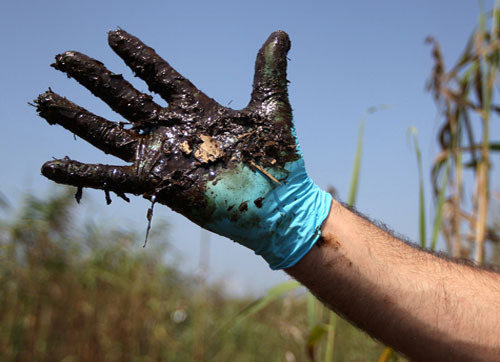 Vịnh Mexico: Một năm sau thảm họa tràn dầu