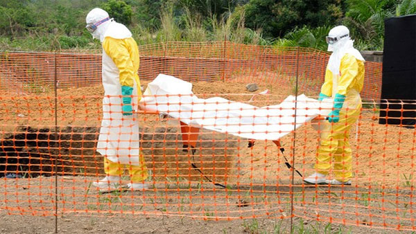 Virus Ebola: Vì sao chưa có thuốc chữa?