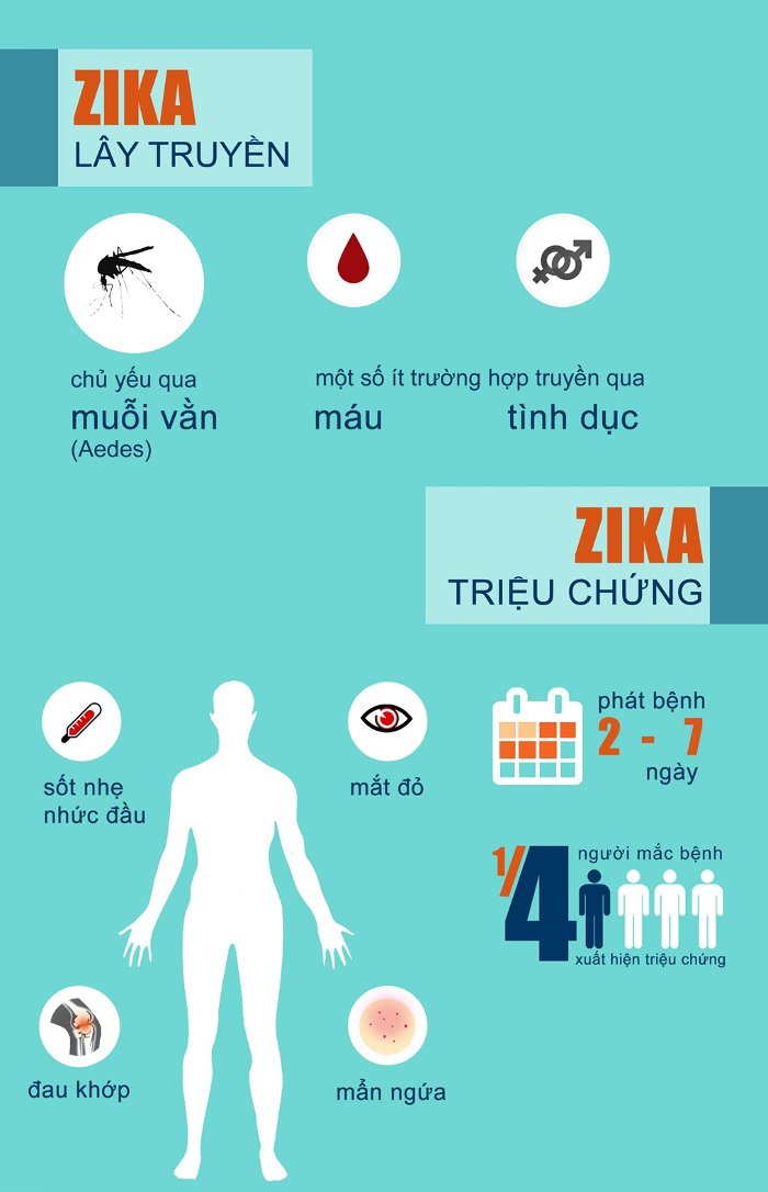 Virus gây teo não bào thai nguy hiểm thế nào?