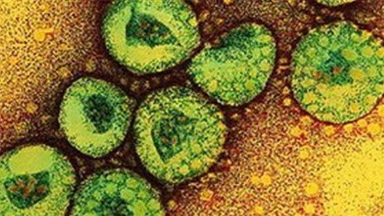 Virus MERS-CoV ít có khả năng lây lan thành dịch