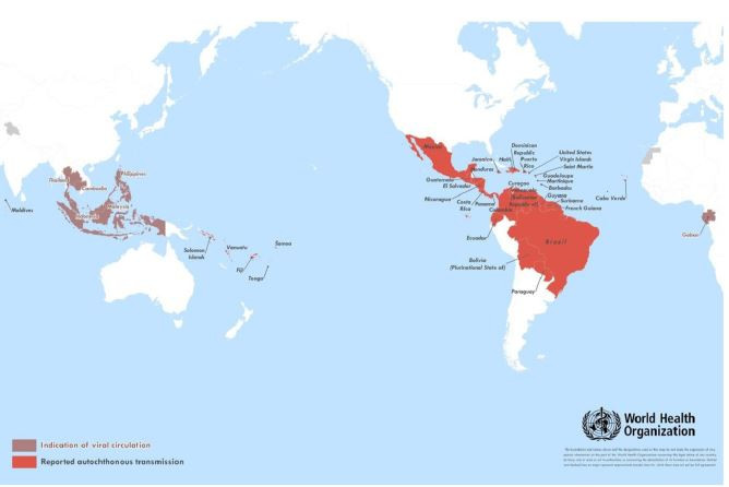 Virus Zika lây lan đến 3 nước láng giềng của Việt Nam