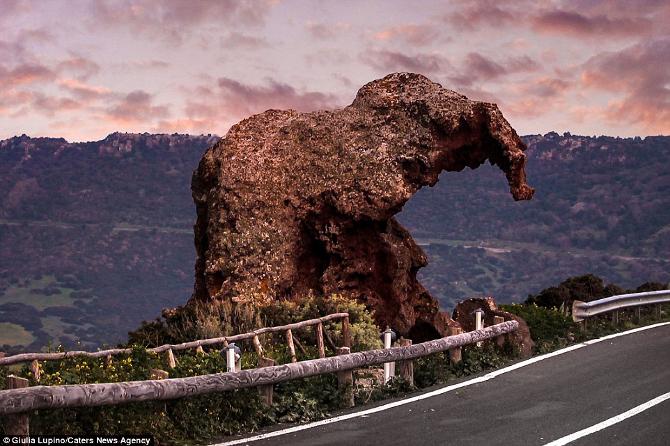 Voi đá khổng lồ trấn giữ đường quốc lộ ở Italy