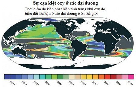 Vùng chết khổng lồ có thể xuất hiện trên đại dương năm 2030