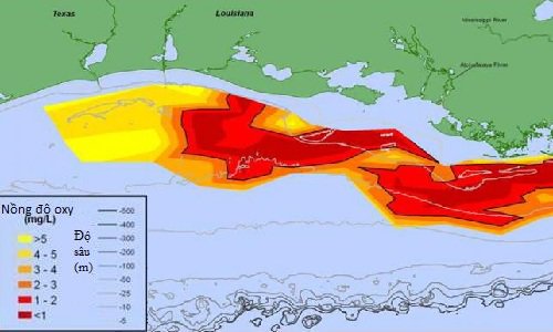 Vùng chết lan rộng trên vịnh Mexico