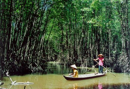 Vườn quốc gia Mũi Cà Mau sắp thành khu Ramsar