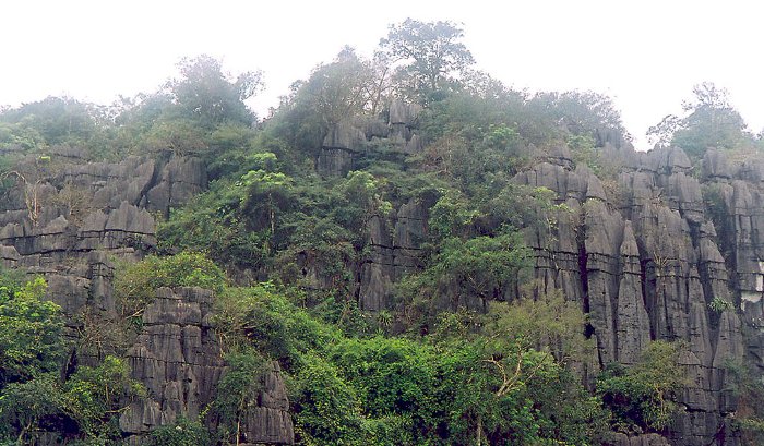 Vườn quốc gia Phong Nha - Kẻ Bàng: Kỳ quan đệ nhất động