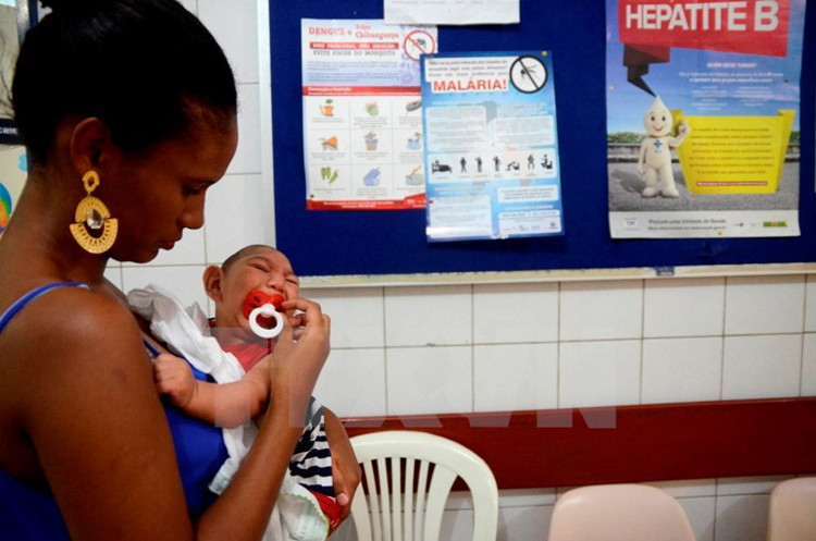 WHO: Lần đầu tiên phát hiện chủng virus Zika châu Mỹ ở châu Phi