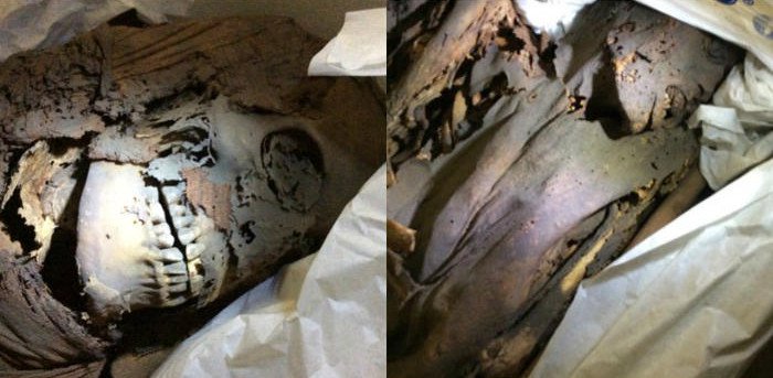 Xác ướp người Ai Cập 4.200 năm tuổi có thể chết do ung thư