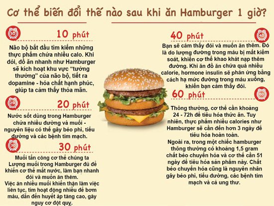 Xem cơ thể biến đổi trong từng phút khi bạn ăn 1 chiếc Hambuger