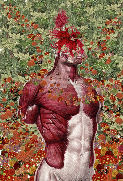 Xem hình người giải phẫu qua bộ ảnh hoa lá độc đáo