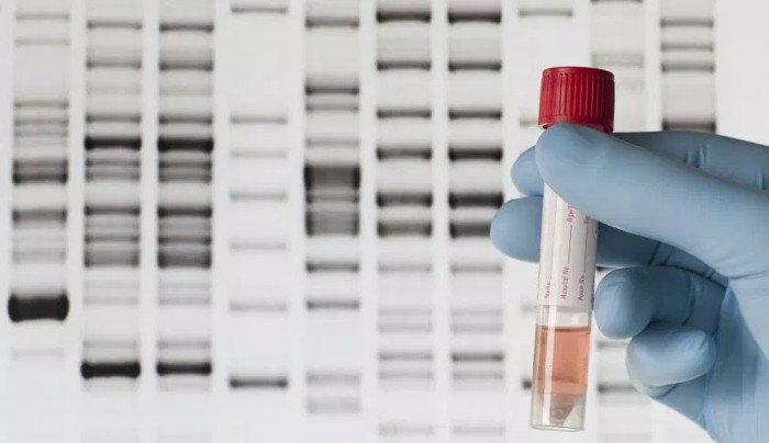 Xét nghiệm ADN xác minh cha con ruột chính xác ra sao?