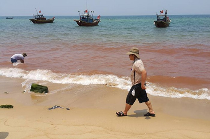 Xuất hiện vệt nước đỏ 1,5km sát bờ biển Quảng Bình