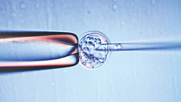 10 cách tế bào gốc thúc đẩy y học phát triển