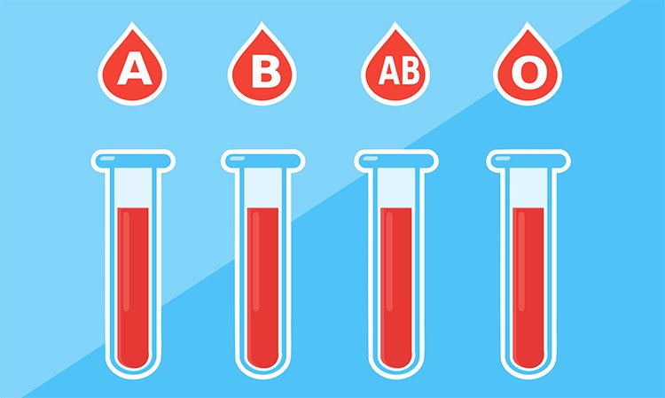 Các nhà khoa học chuyển hiệu quả máu nhóm A,B thành nhóm O, có thể truyền cho bất kỳ ai