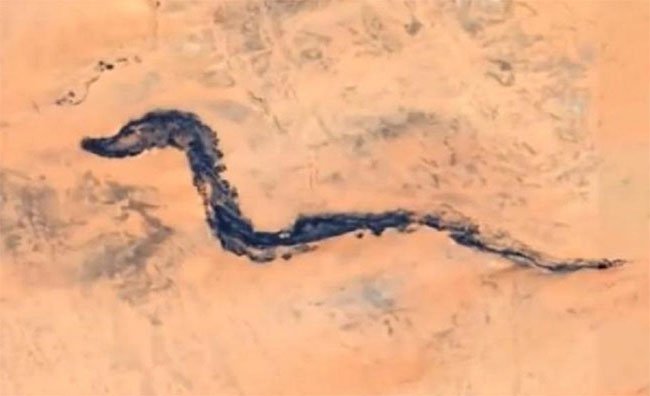 “Hóa thạch rồng” dài gần 10.000 mét giữa sa mạc châu Phi?