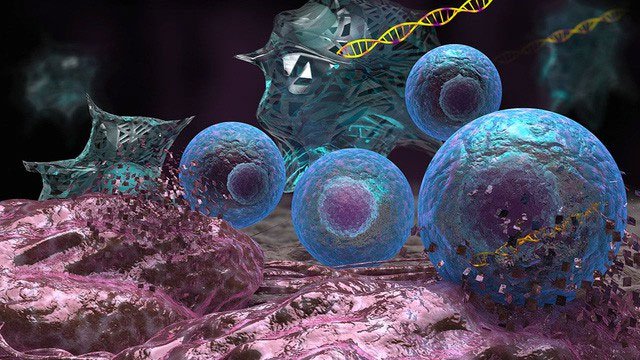 Kỹ thuật chỉnh sửa gene CRISPR sẽ khiến tế bào ung thư không còn bất tử