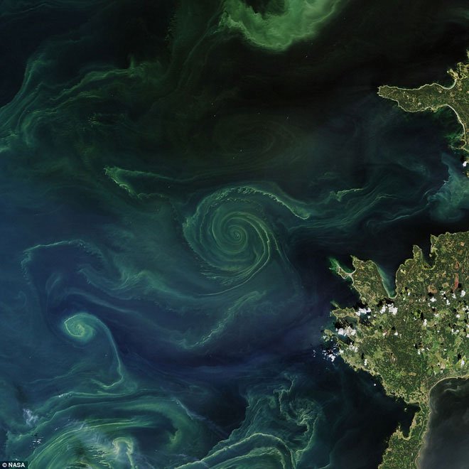 NASA phát hiện vòng xoáy tử thần khổng lồ trên biển Baltic