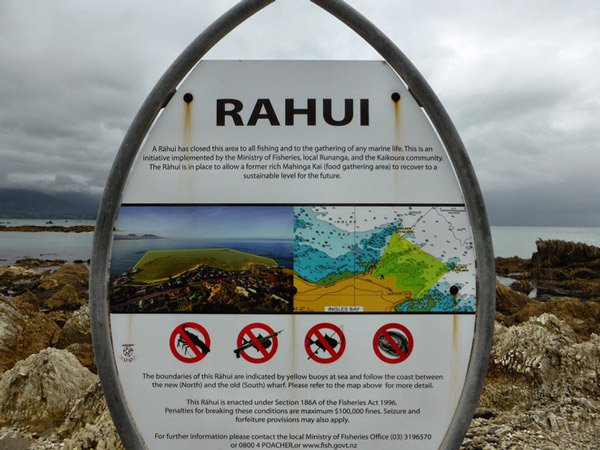 Người New Zealand có một phong tục cực hay và ý nghĩa để bảo vệ thiên nhiên