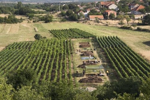 Phát hiện bằng chứng về việc sản xuất phô mai từ 7.200 năm trước ở Croatia
