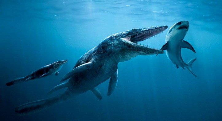 Phát hiện loài “khủng long bạo chúa” dưới biển 85 triệu năm tuổi